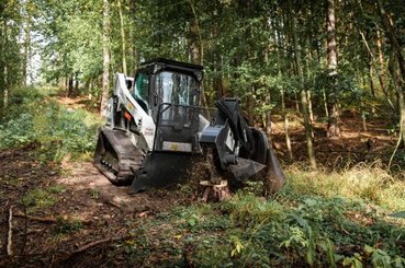 Minicargadora Bobcat T590E - 2